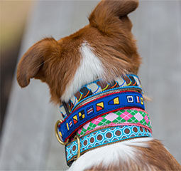 Patterned Leather Tab, Fox & Hounds, Special Order, YOUTH SIZING