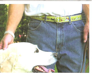 Fun D-Ring Belt, Mint Juleps, Special Order