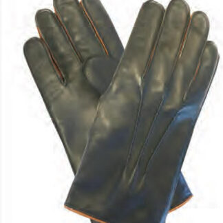 Dann Clothing $150. Gift Certificate
