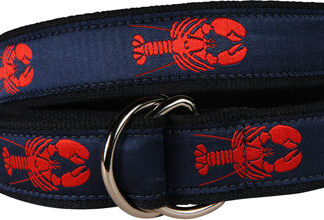 Fun D-Ring Belt, Fish--Blue, Special Order