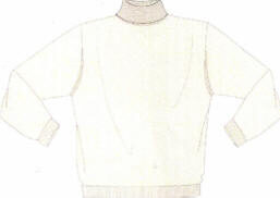 Raffi 1/4 Zip Mock