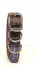 Torino Dog Collar,American Alligator,CUSTOM ORDER,Medium