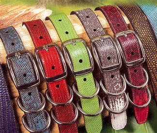 Torino Dog Collar, Metallic Tejus Lizard, CUSTOM ORDER,Large
